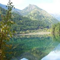 專注入境旅游業(yè)務(wù)，打造卓越旅行體驗(yàn)