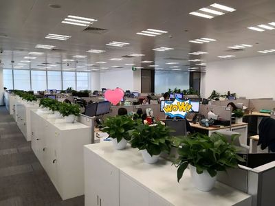 喬遷大吉！級掌柜新辦公空間全面揭秘，科技與舒適完美融合